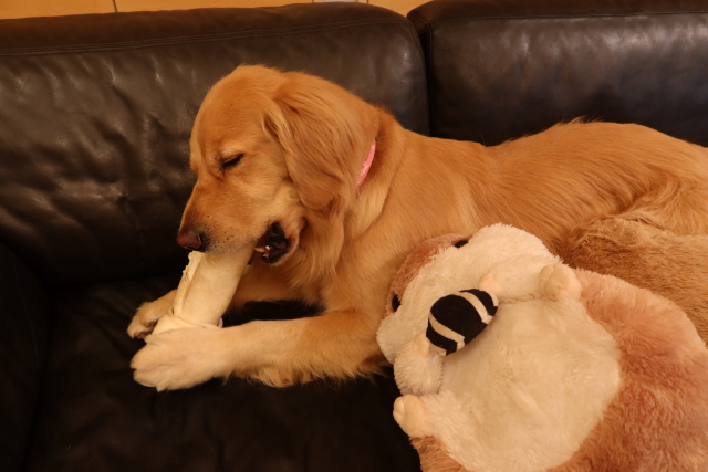 ファイル 8026-5.jpg