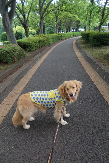 ファイル 8027-4.jpg