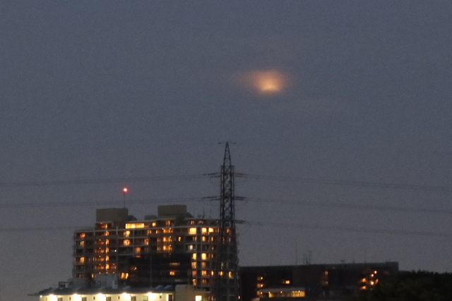 ファイル 8028-1.jpg