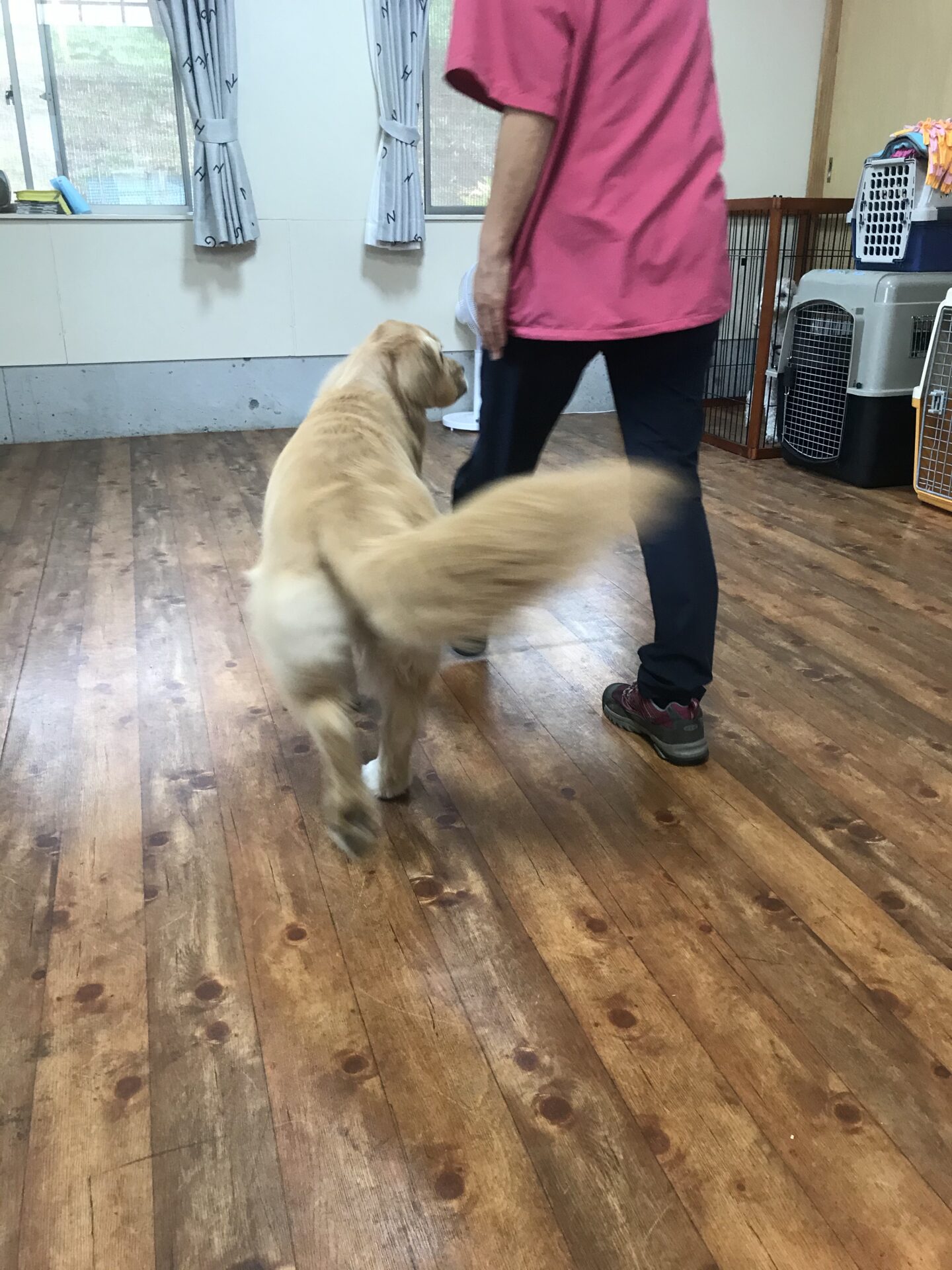 ファイル 8029-5.jpeg