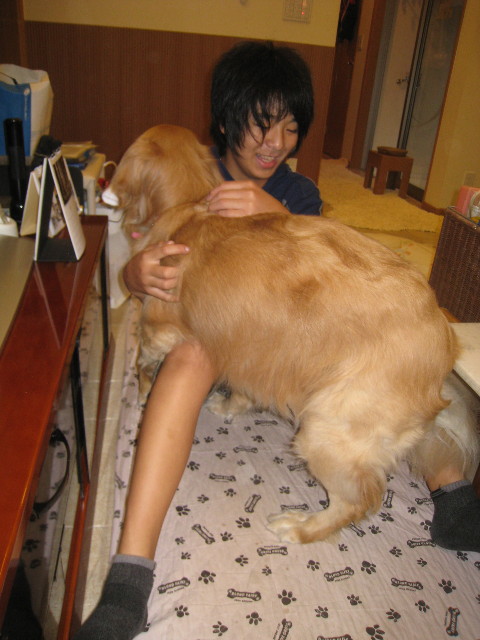 ファイル 803-1.jpg