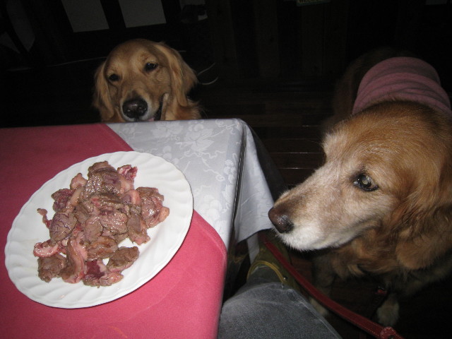 ファイル 803-2.jpg