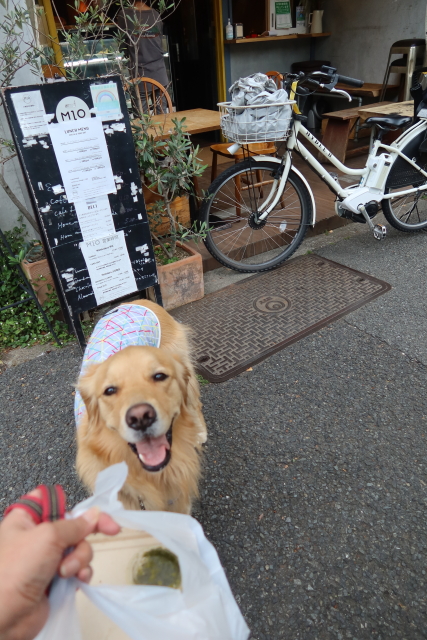 ファイル 8030-4.jpg