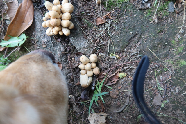 ファイル 8031-1.jpg