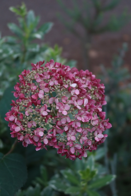 ファイル 8031-3.jpg