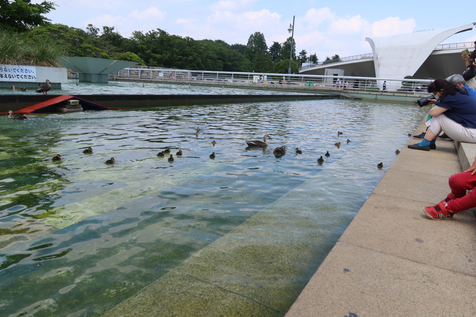 ファイル 8032-1.jpg