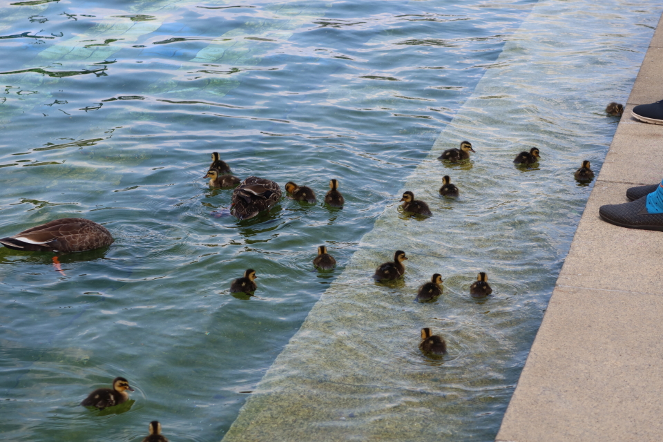 ファイル 8032-2.jpg