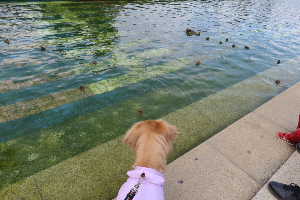 ファイル 8033-3.jpg