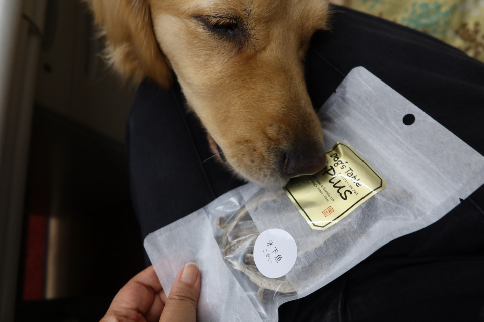 ファイル 8034-5.jpg