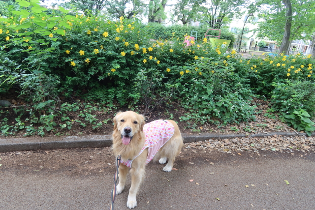 ファイル 8035-1.jpg