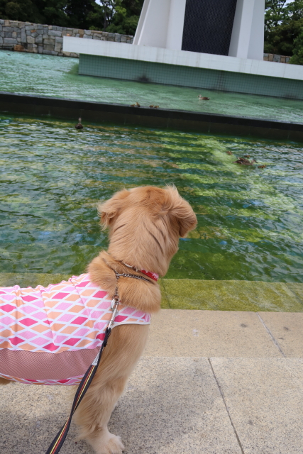 ファイル 8035-2.jpg