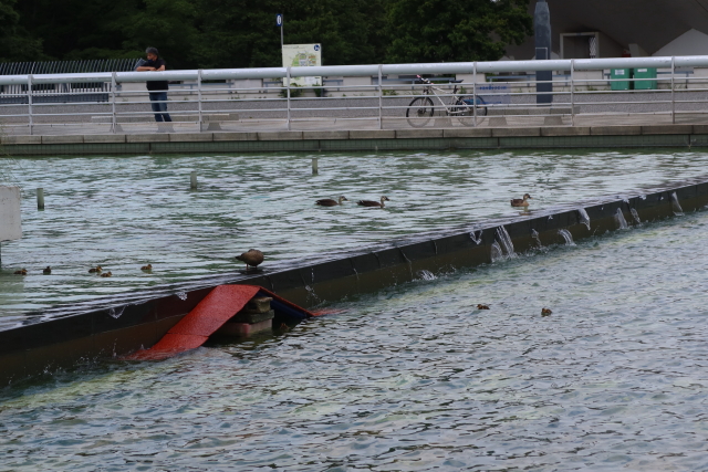 ファイル 8035-4.jpg