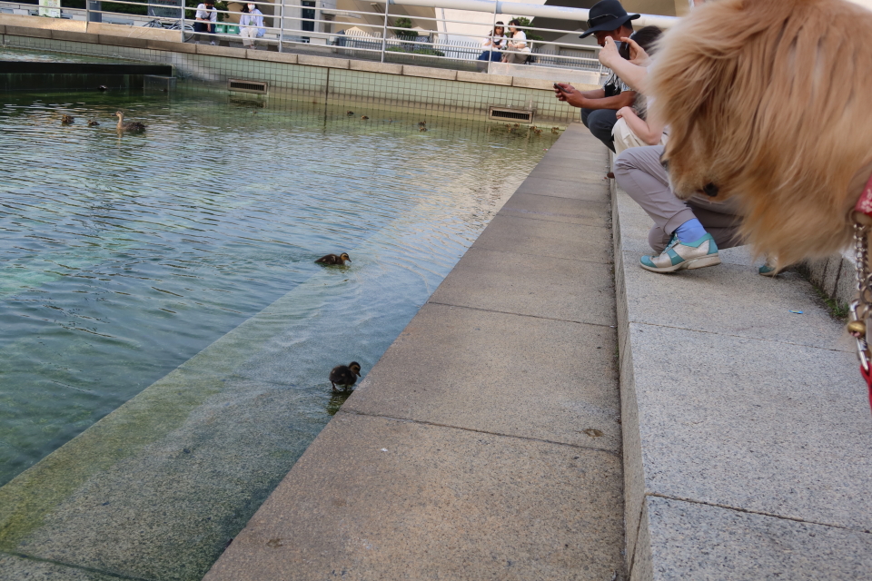 ファイル 8036-1.jpg