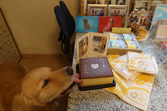 ファイル 8040-5.jpg