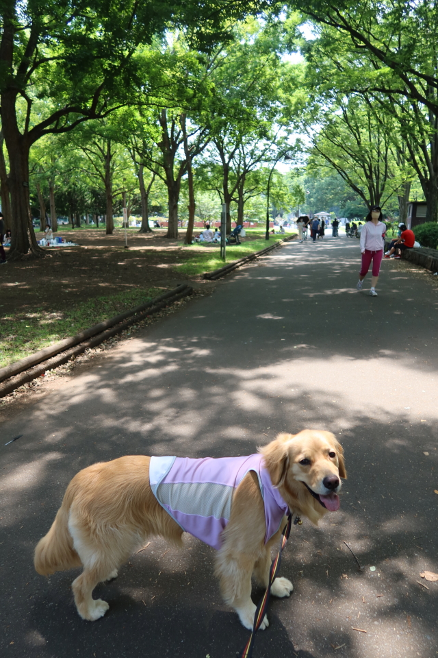 ファイル 8041-1.jpg