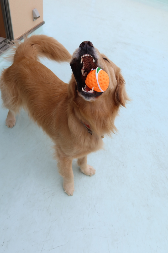 ファイル 8041-2.jpg