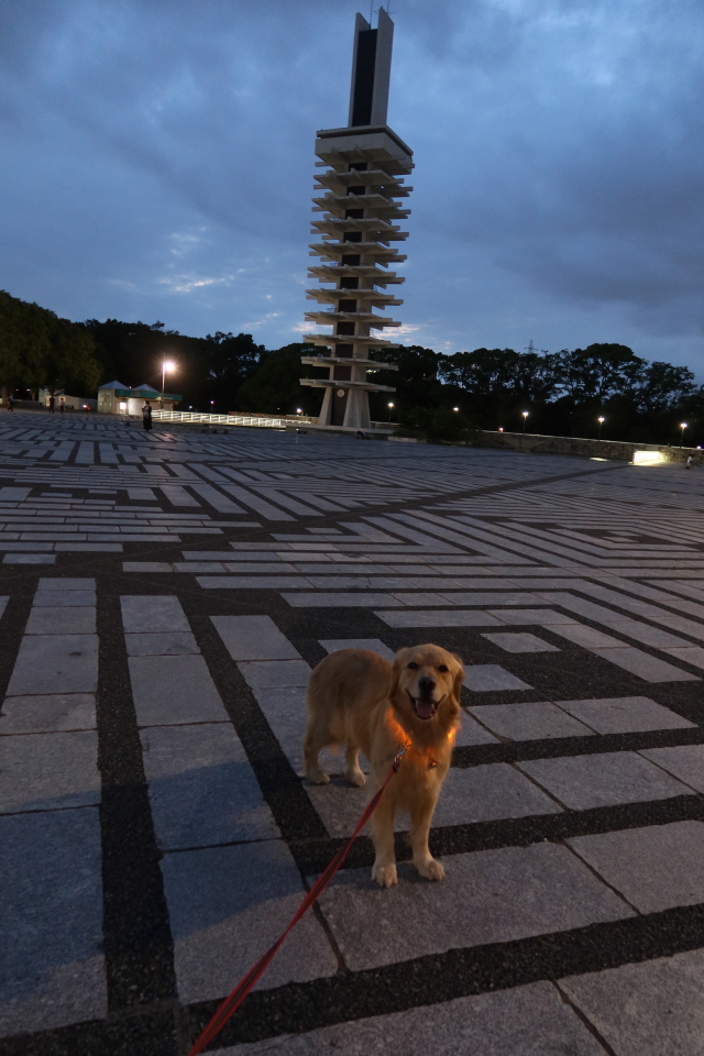 ファイル 8041-3.jpg