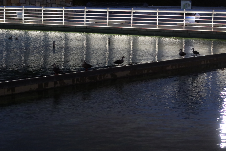 ファイル 8041-4.jpg