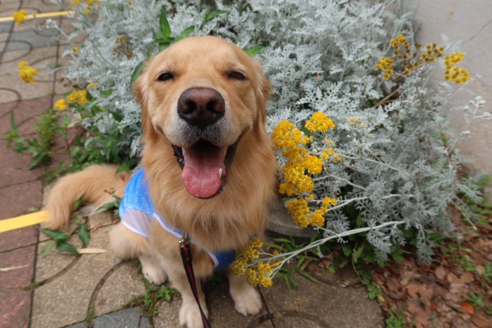 ファイル 8042-1.jpg