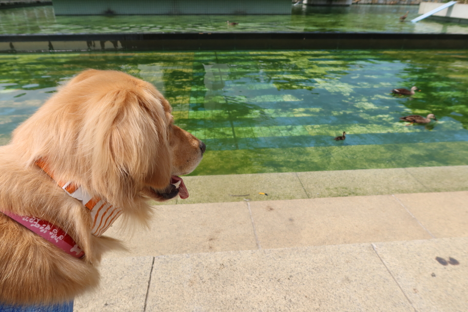 ファイル 8042-2.jpg