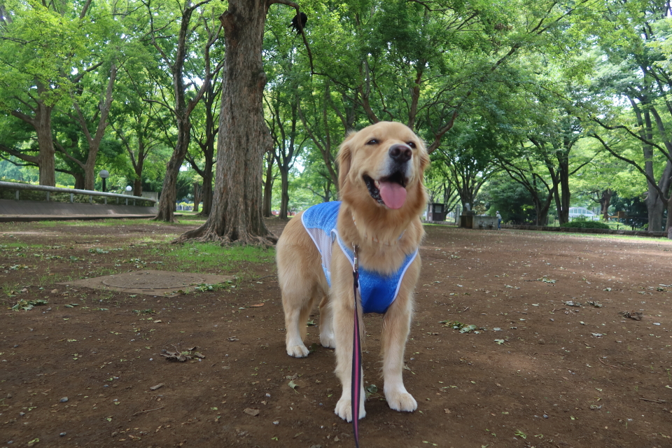 ファイル 8042-4.jpg