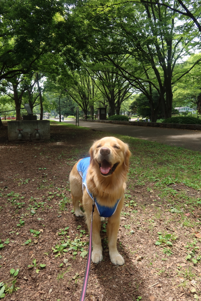 ファイル 8042-5.jpg