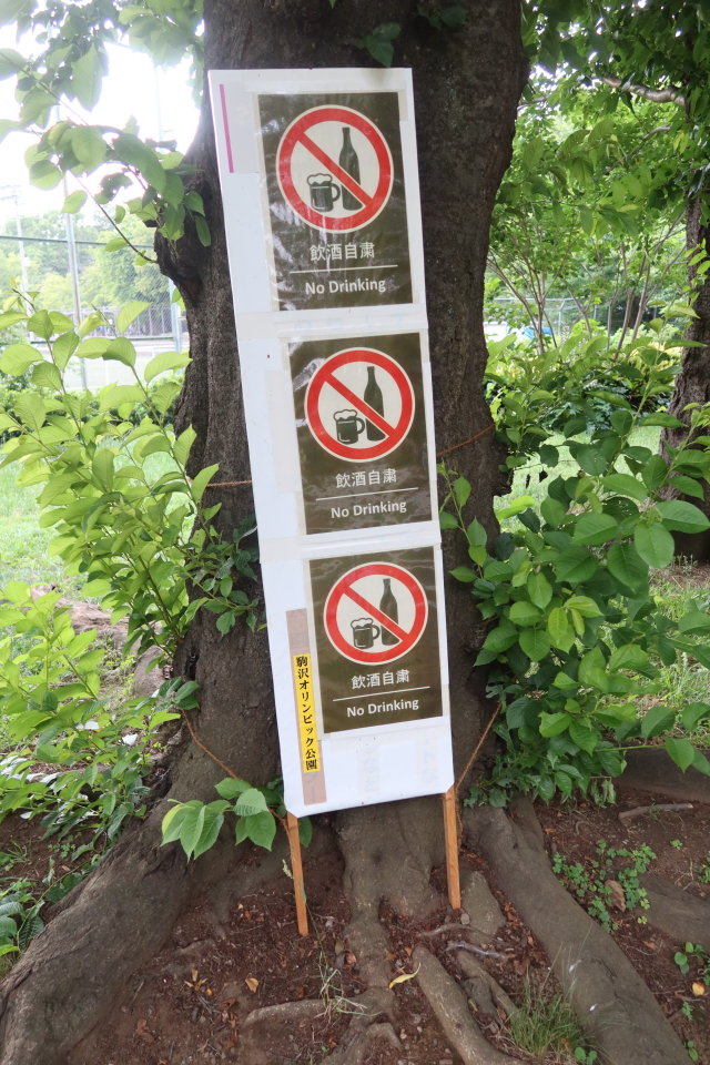 ファイル 8044-3.jpg