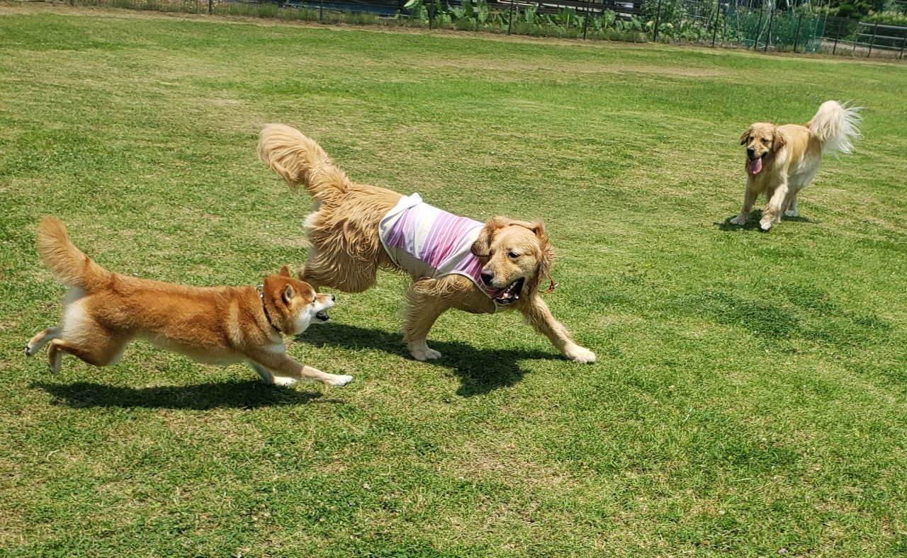 ファイル 8045-4.jpeg