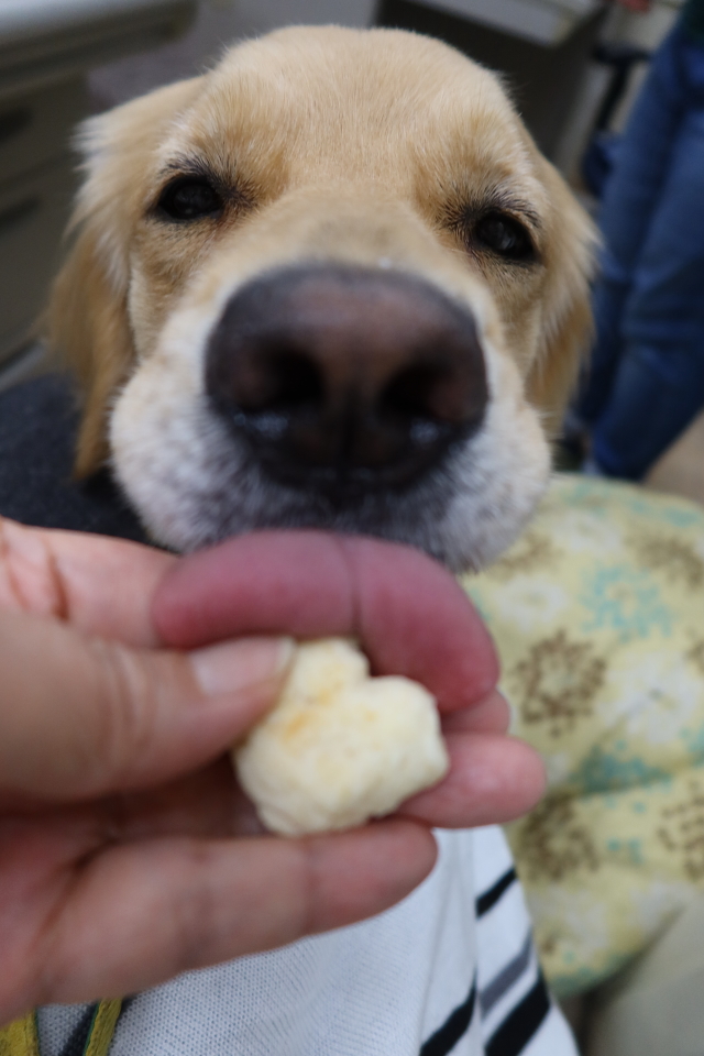 ファイル 8046-5.jpg