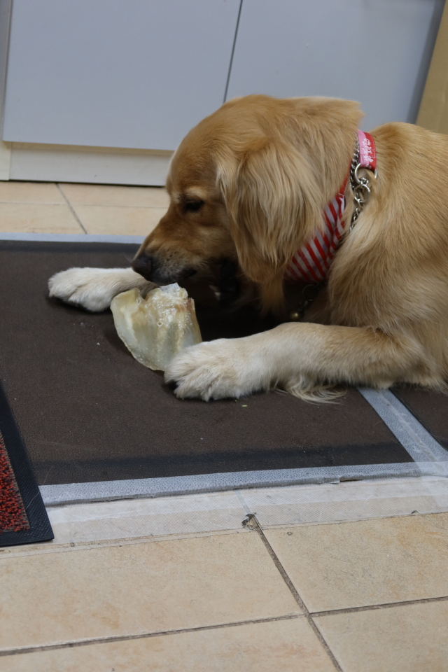 ファイル 8048-4.jpg