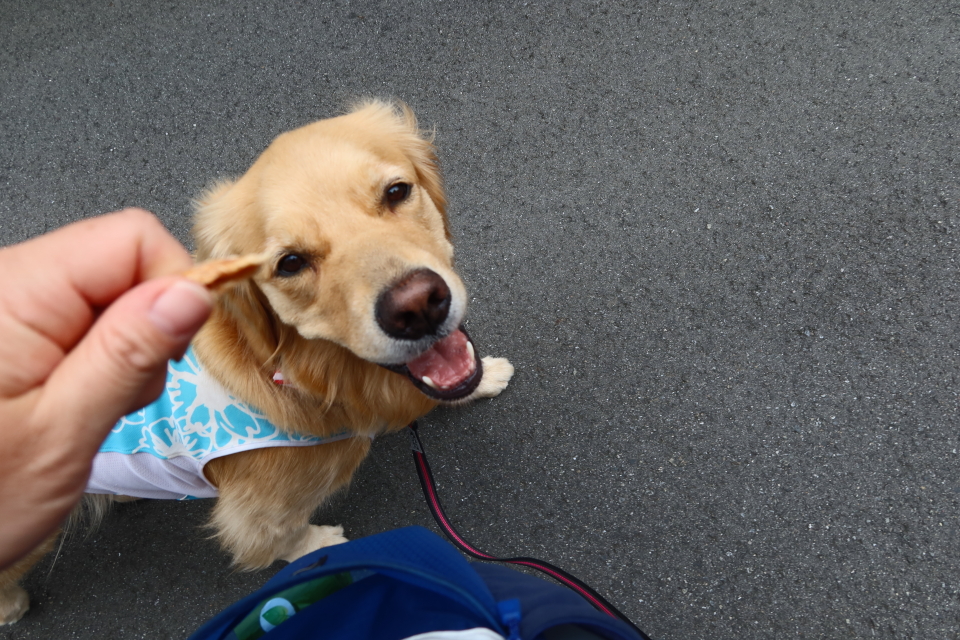 ファイル 8049-1.jpg