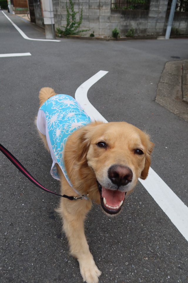 ファイル 8049-2.jpg