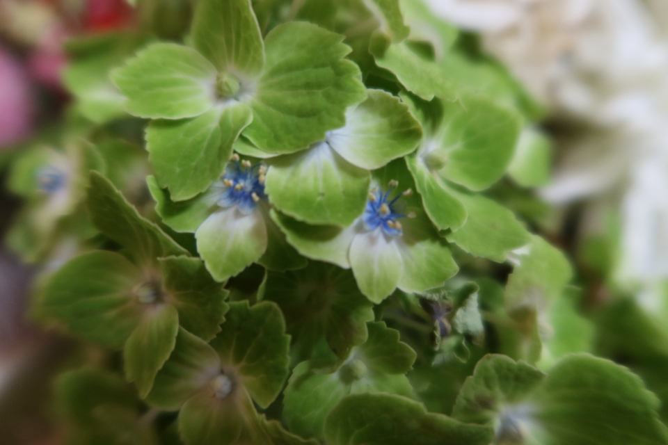 ファイル 8049-4.jpg