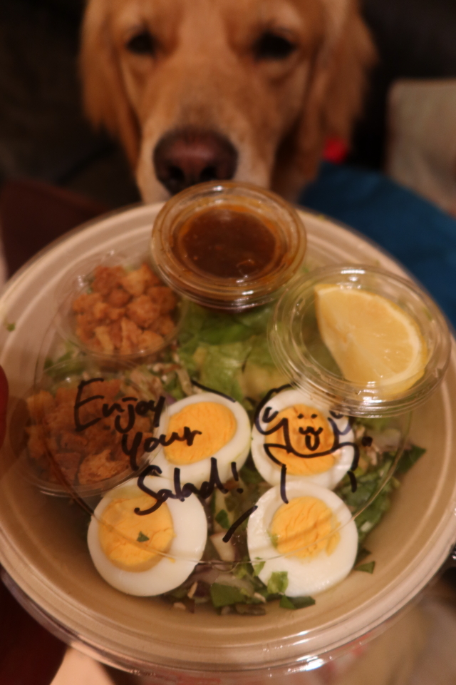 ファイル 8049-5.jpg