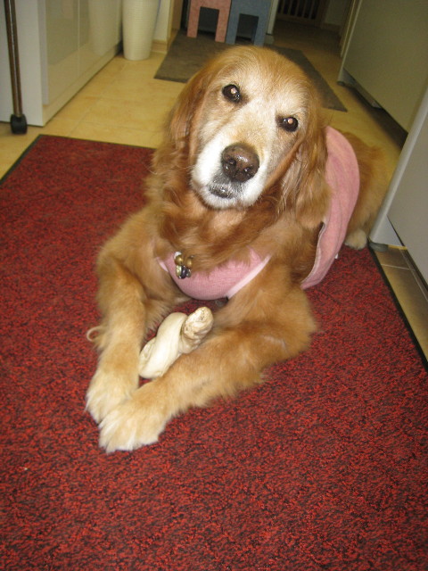 ファイル 805-2.jpg