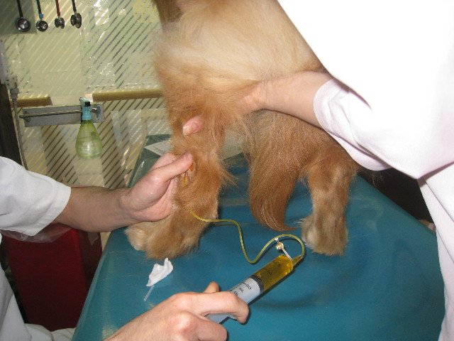 ファイル 805-4.jpg