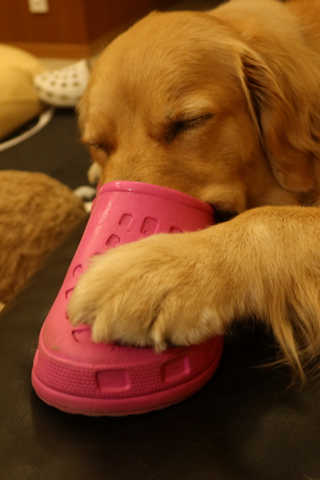 ファイル 8053-4.jpg