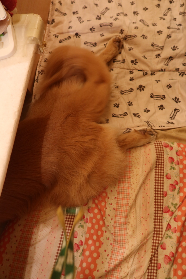 ファイル 8054-1.jpg