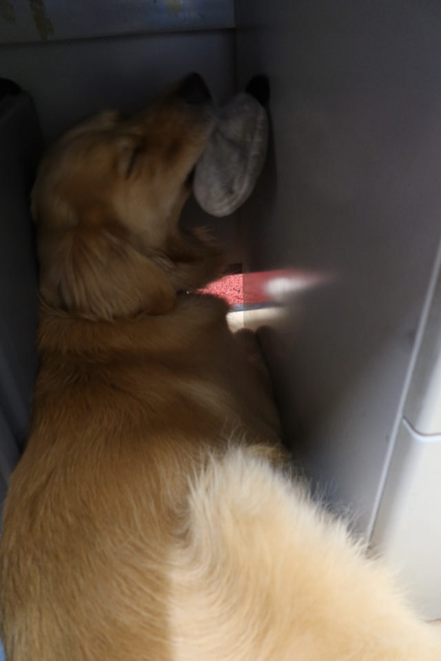 ファイル 8054-3.jpg