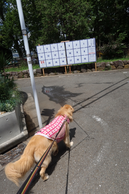 ファイル 8055-1.jpg