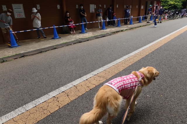 ファイル 8055-3.jpg