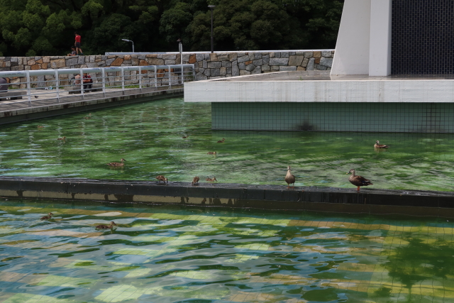 ファイル 8055-4.jpg