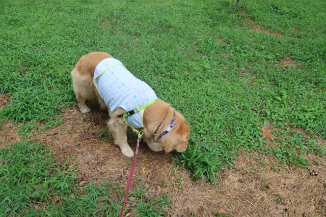 ファイル 8057-3.jpg