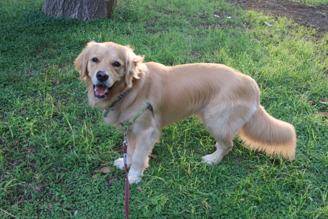 ファイル 8057-4.jpg