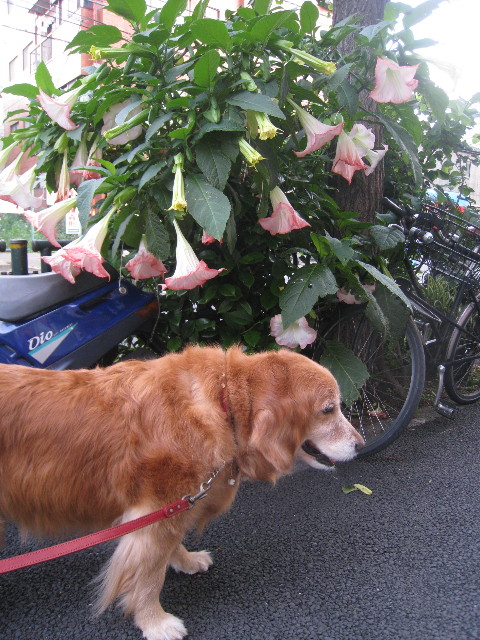 ファイル 806-5.jpg