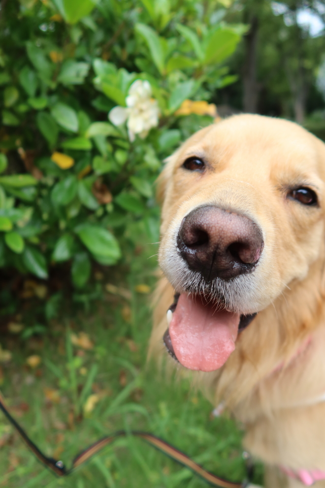 ファイル 8062-3.jpg