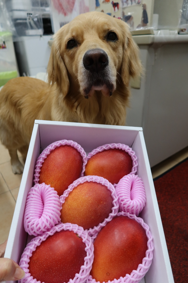 ファイル 8063-3.jpg