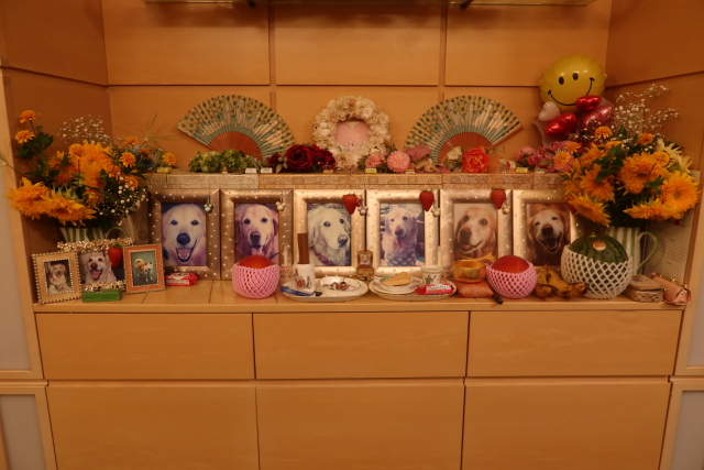 ファイル 8063-4.jpg