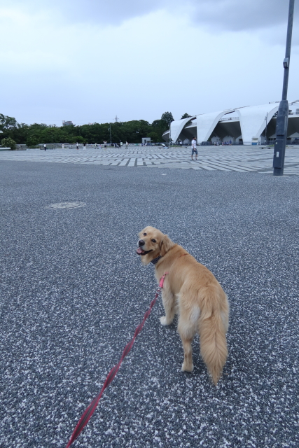 ファイル 8064-1.jpg