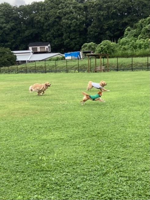 ファイル 8065-1.jpeg